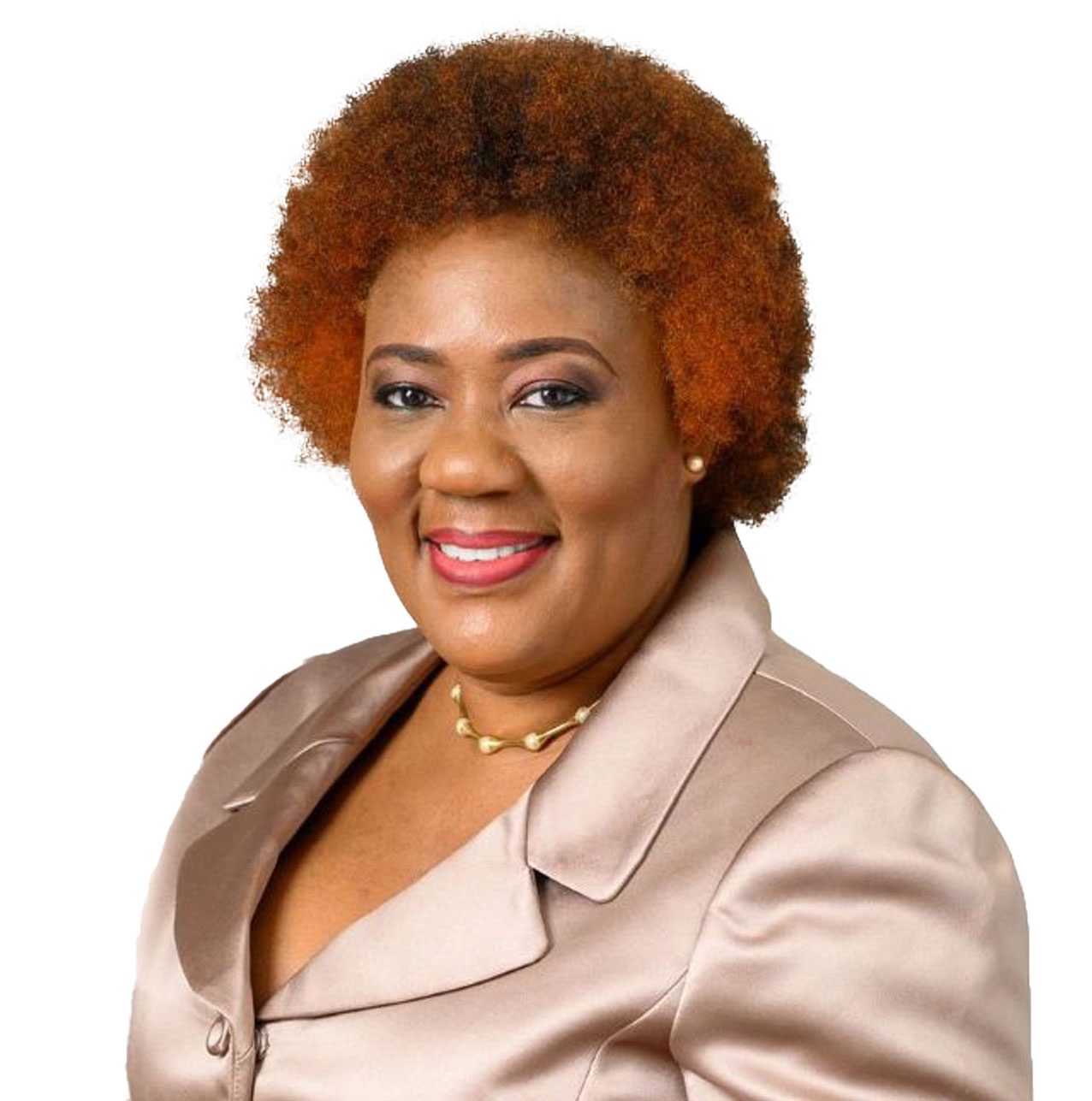 Arc. Abimbola Ajayi